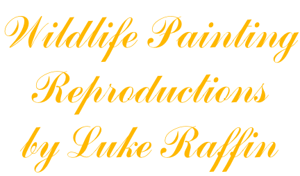 Wildlife Painting Reproductions by Luke Raffin